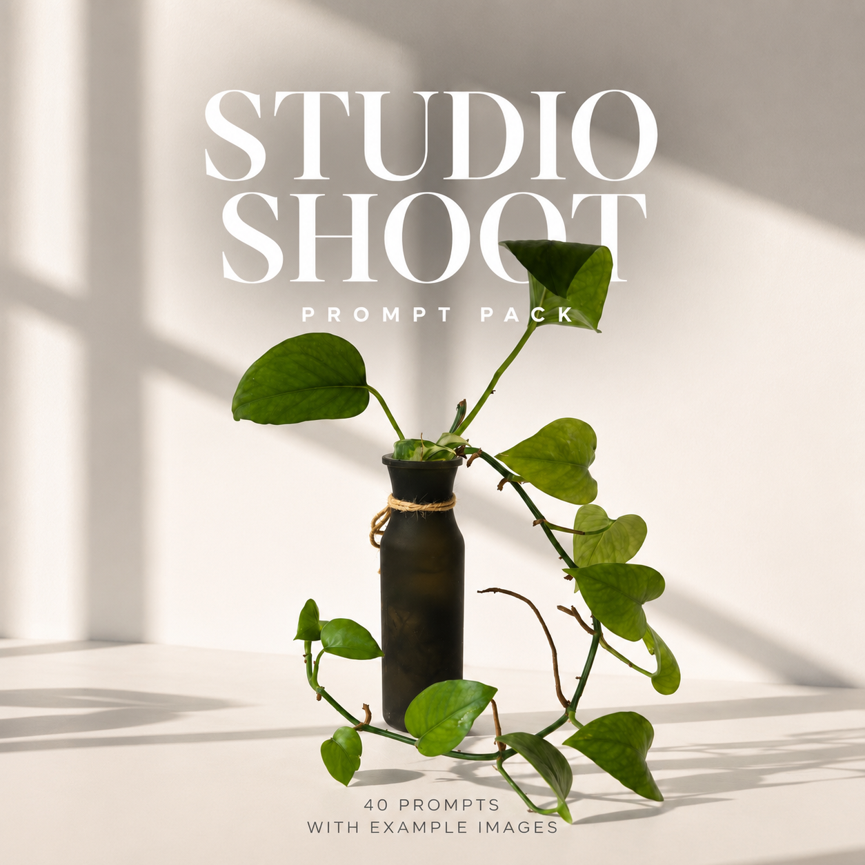 Studio Shoot Prompt Pack